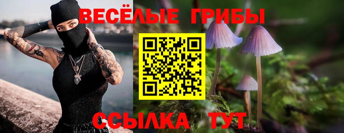 Серпухов  Псилоцибиновые грибы мицелий  Вход с VPN  Галлюциногенные грибы GOLDEN TEACHER 